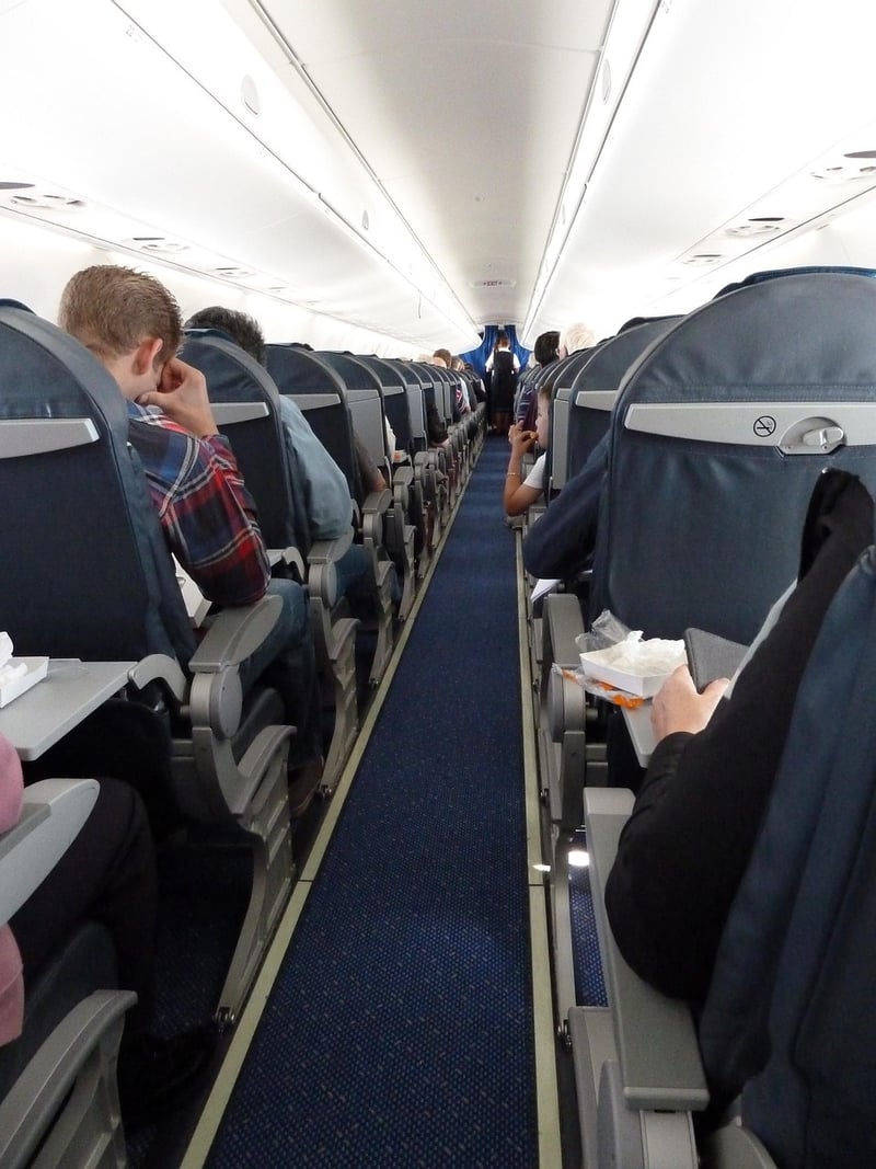 Flight Attendant